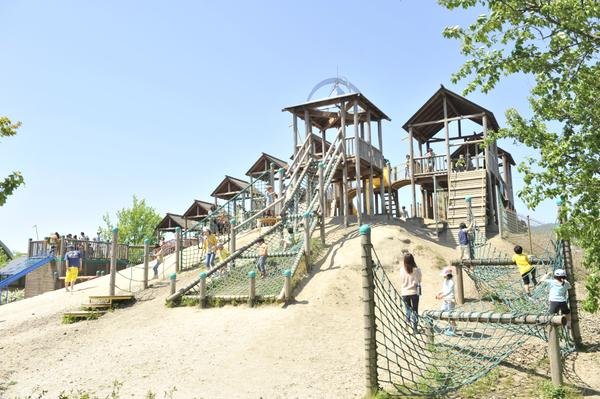 🏕️ 그린 파크 산동(구린파쿠 산토) 이미지 8